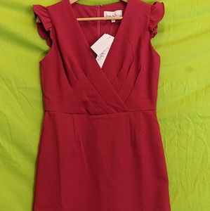 Nicole Miller Magenta V Neck Dress with ruffle sleeves size 6